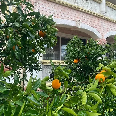 Aslan Hotel